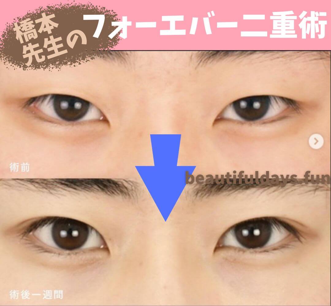 Dr.hashimoto-04-1